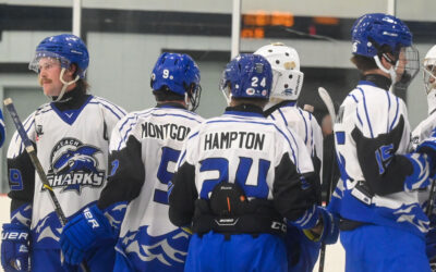 Weekend Recap – Sharks vs Nordiques – December 7-8, 2024