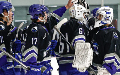 Sharks rule the waters and down the Sea Captains