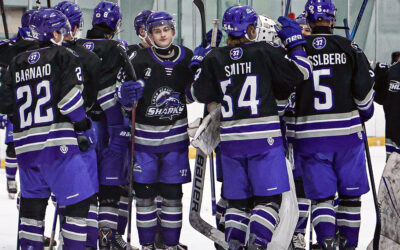 Sharks sink the Sea Captains in Norwich