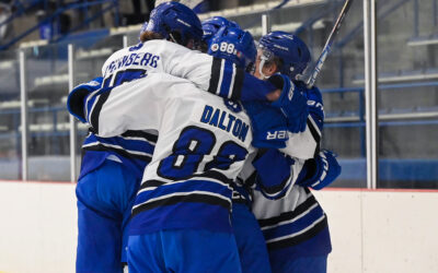 Sharks take two from the Buzz